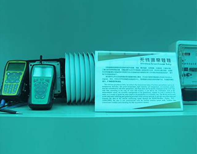 农业产品-无线温室娃娃